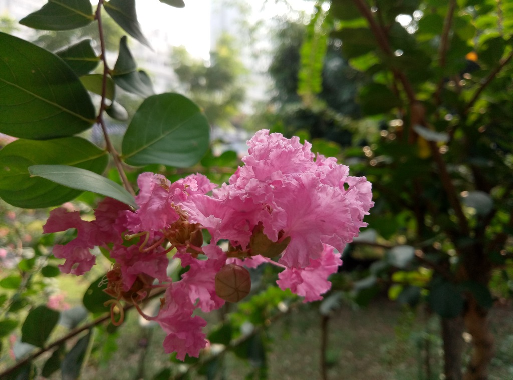 魅族魅蓝max功能,魅蓝note青年良品