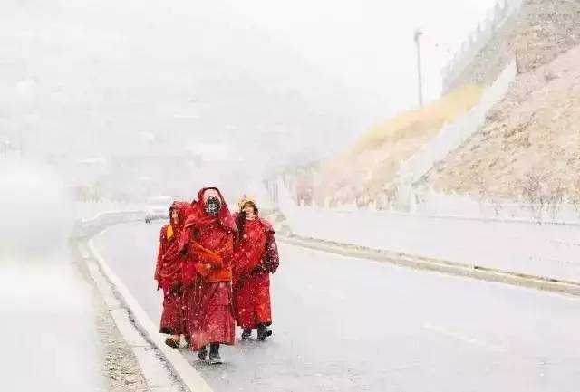 冬季到雪村来看雪,冬季到雪乡去看雪