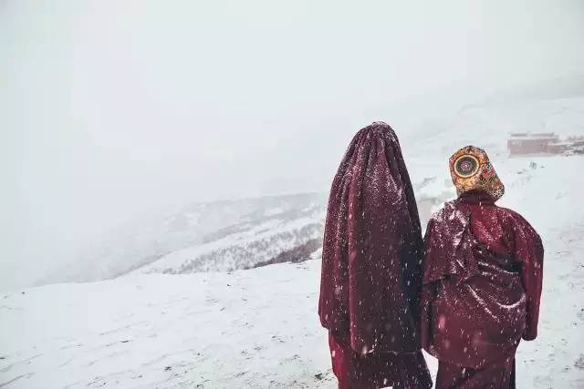 冬季到雪村来看雪,冬季到雪乡去看雪