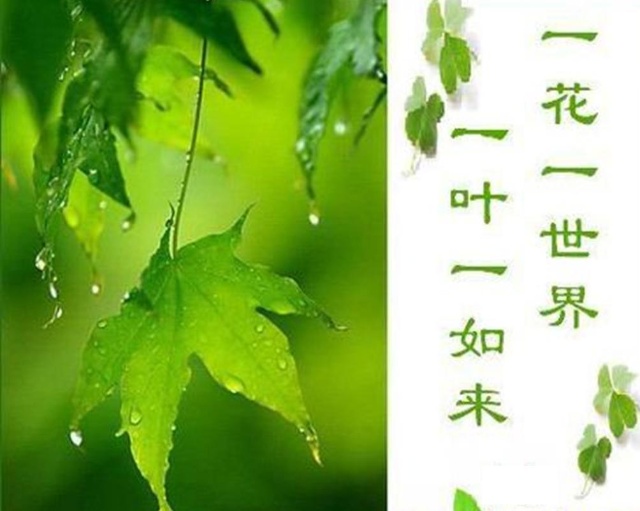 空谷幽兰完整版,一曲许巍的空谷幽兰