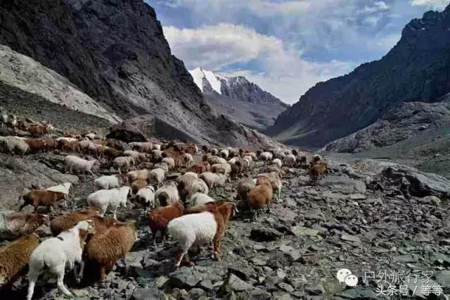博格达峰登顶需要什么手续,博格达攀登视频教程