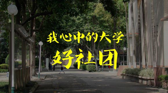 大学生活应该怎么过才不迷茫,大学生活应该怎么过才不会后悔