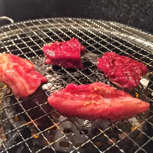 日本北海道自由行7天费用,日本北海道五天自由行攻略