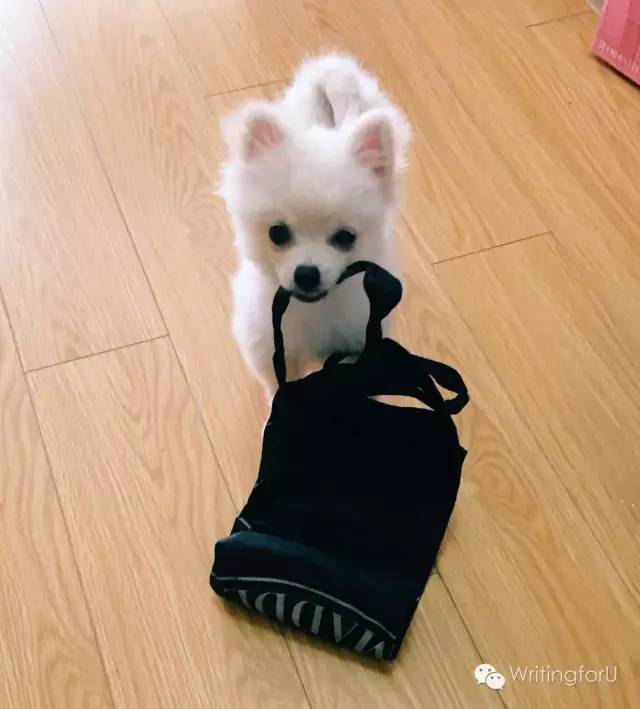 闹，你们要的靴子来了