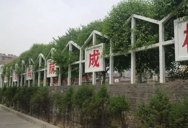 那些年我在汾中的青春，纪念汾阳中学诞辰110周年