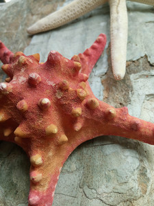 乐视乐2拍照体验,乐视手机乐2评测