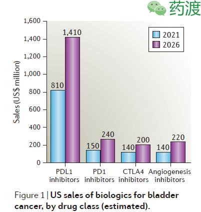 膀胱癌新药最新上市,膀胱癌药物哪个品牌好