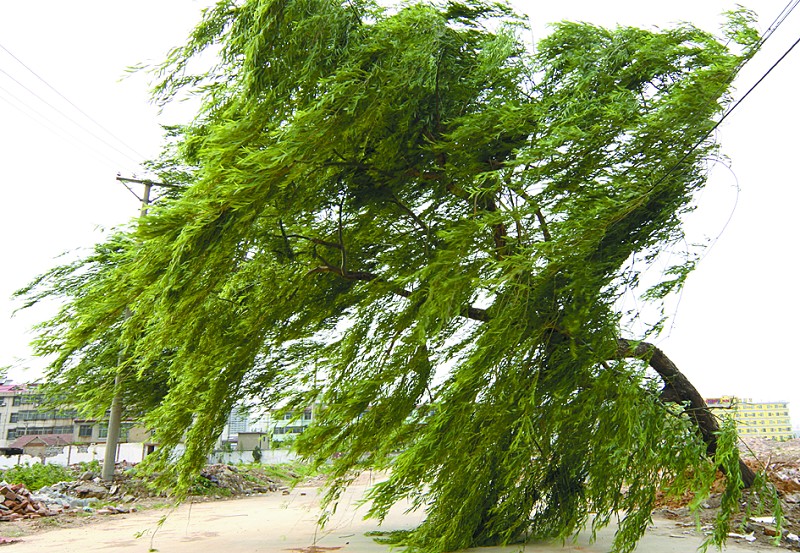 为什么你越练功身体素质越差？练功十忌，没有师父的朋友们一定要