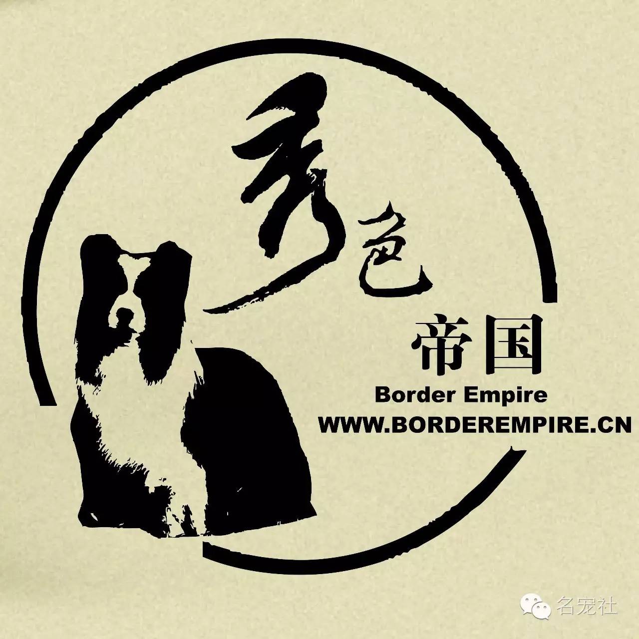 巴西淘淘老年犬,巴西淘淘幼犬狗粮