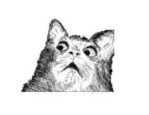 当你很纠结的时候怎么终止聊天,如何化解最尴尬的聊天