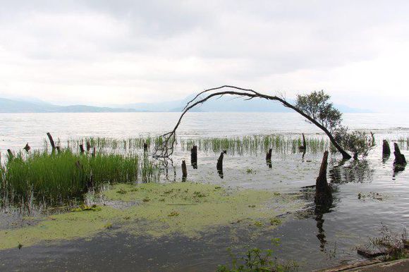 昆明石林大理丽江旅游攻略,万众瞩目的云南玩转昆明大理丽江