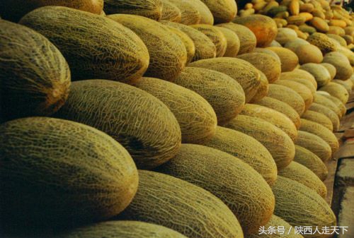 朝邑县老照片的回忆,朝邑老县城