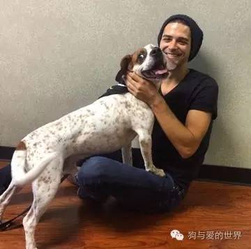 爱狗的人可爱吗 (真正爱狗的人的长相)