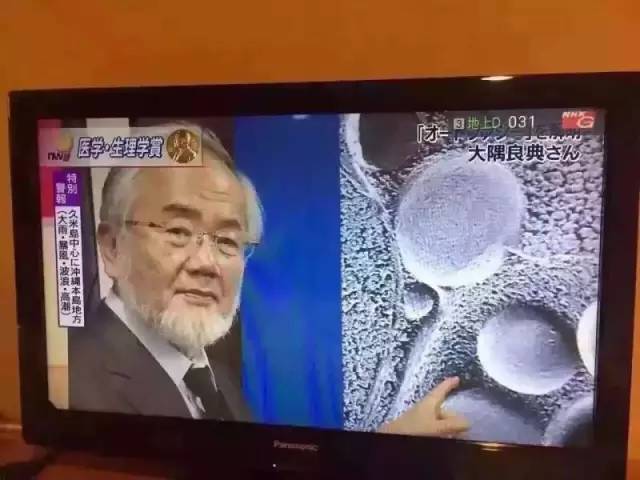 日本最贵精华液,绿宝瓶精华荣获诺贝尔奖