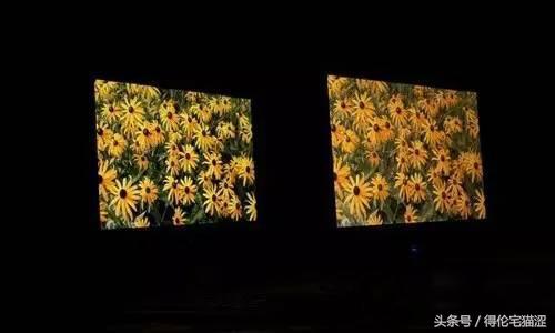 如何正确的选择电脑显示器,电脑显示器的挑选方法