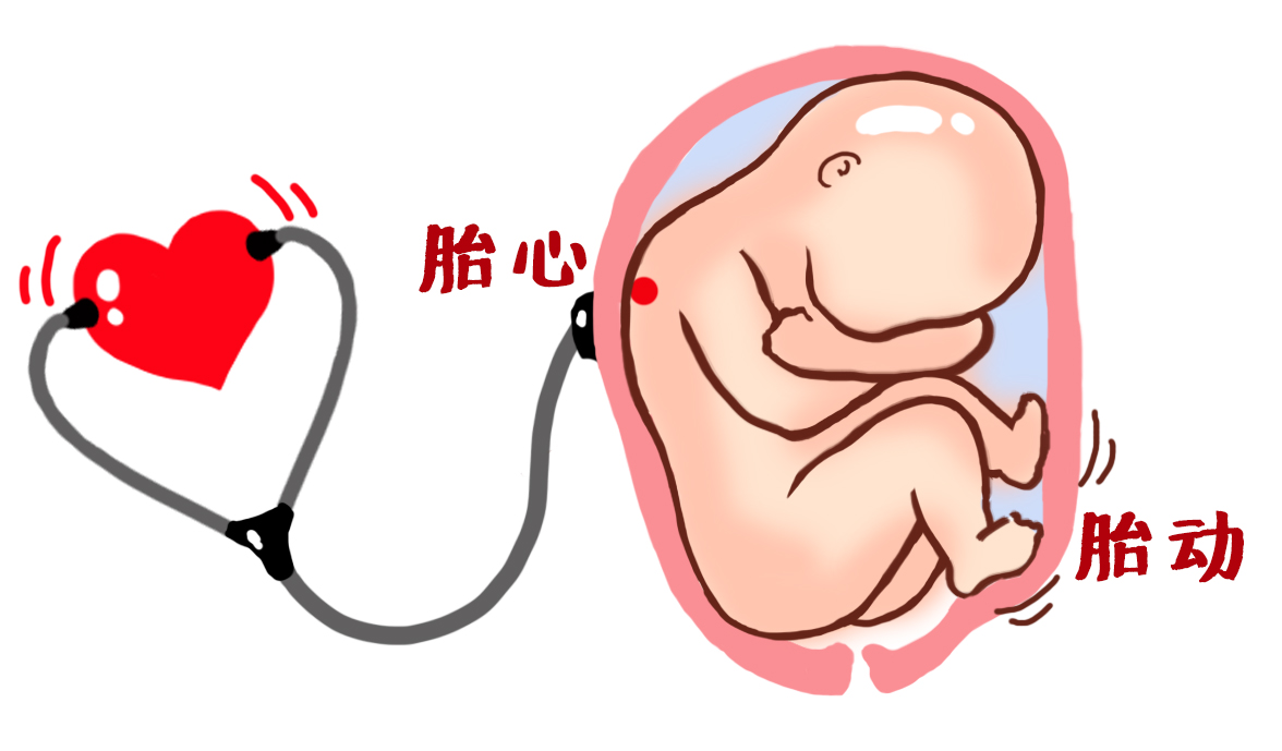 产检全过程详细讲解 (最全产检时间表新手妈妈必收藏)