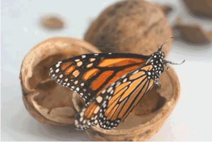 一些简单的英语小句子,英语励志短语100个越简单越好