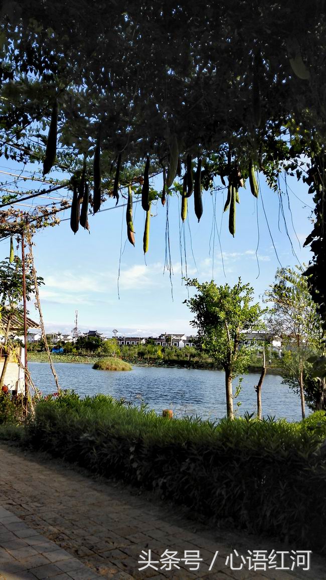 尼苏小镇打卡地,尼苏小镇是哪里