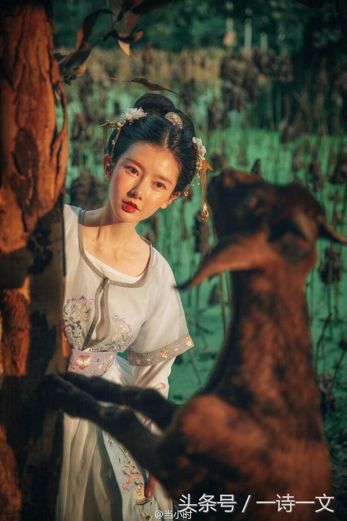 《唯有丹桂飘香八月馥郁芬芳》我,想你了荼蘼花事春已了