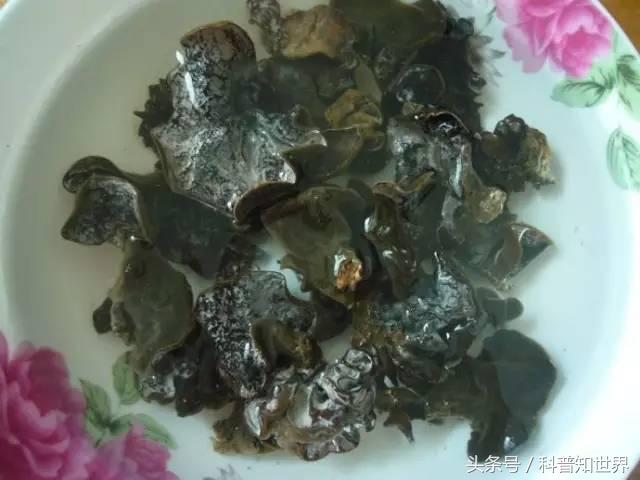 食物中的天然阿司匹林,吃他汀阿司匹林能吃木耳吗