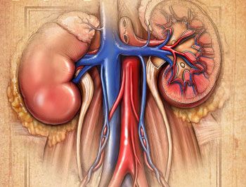 多脏器功能损伤是什么引起的,多脏器受累的疾病都有哪些