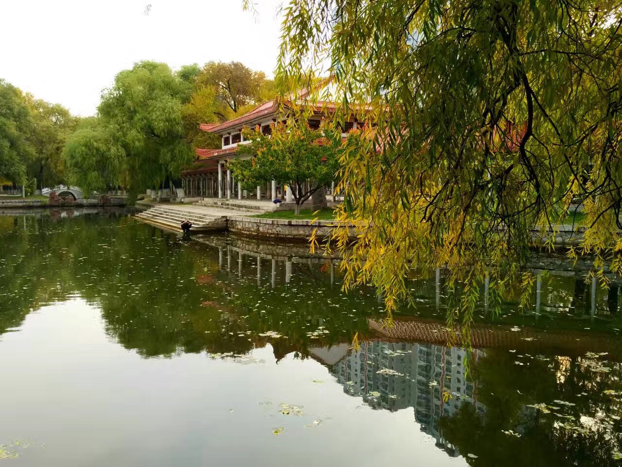 诗香词芳.,作业集一）