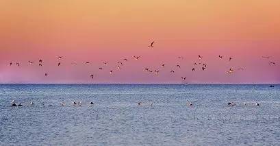 库尔斯沙嘴森林,库尔斯沙嘴对立陶宛的影响