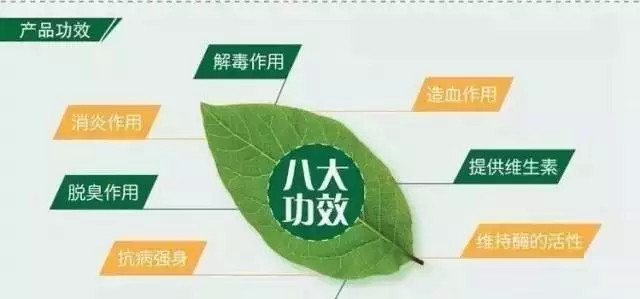 叶绿素焕肤红蓝光,叶绿素可以美容养颜