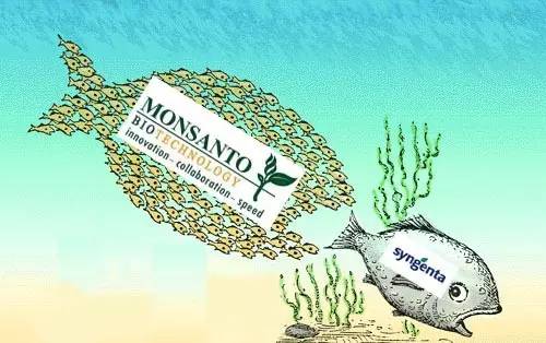 转基因食品该不该吃,转基因食物吃还是不吃