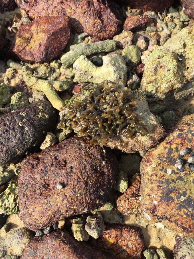 我的第一次出行视频,我的第一次不间断骑行100公里