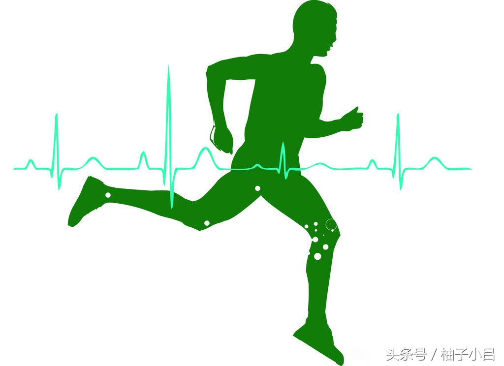 家常食物药用大全,治百病的食物疗法