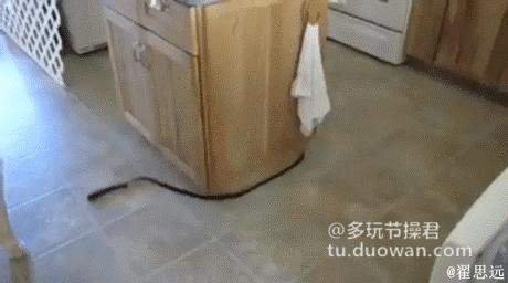 萌妹子搞笑动态图,小女孩萌萌的搞笑动态图