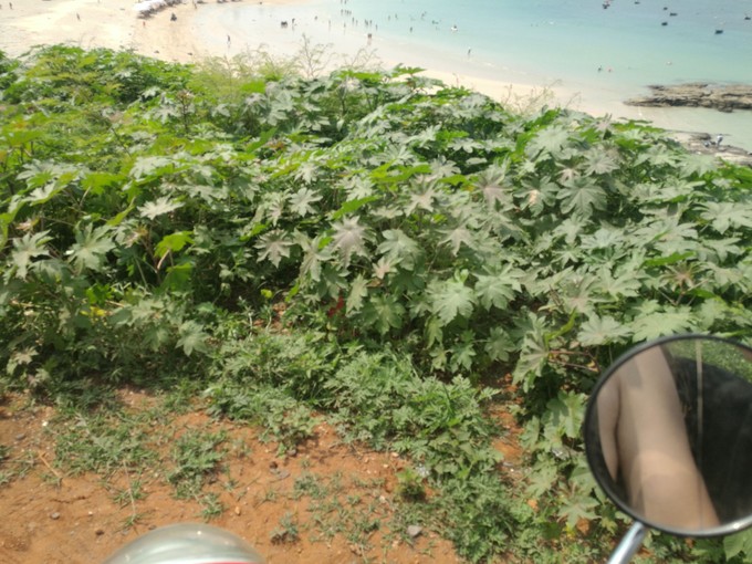 从广州一路向北旅游路线自驾游,一路向南涠洲岛