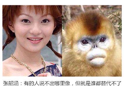 盘点十部感人的动物电影,动物主演的电影