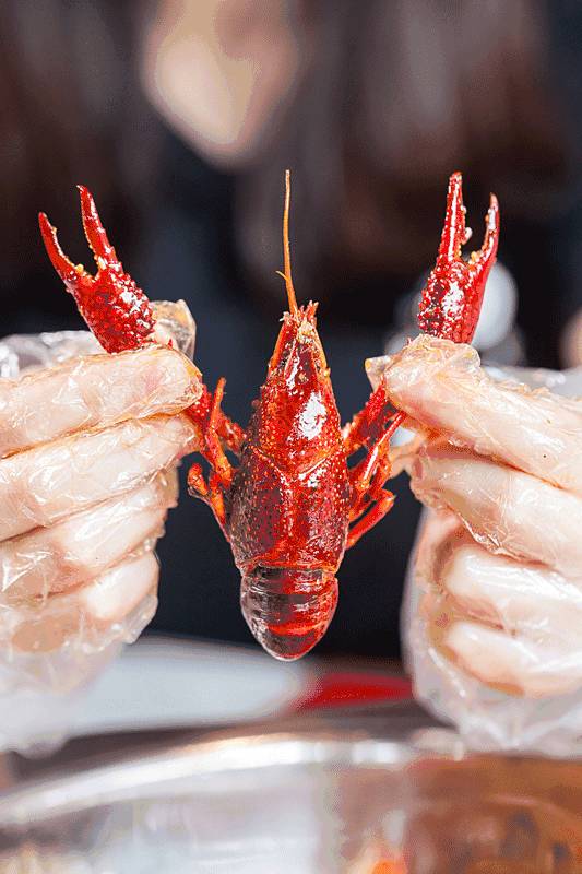 老板壕打5.8折,全年无休摄魂小龙虾,逼爆头我都要吃到Ta