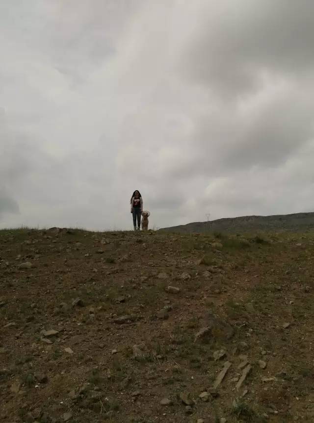 自驾川西带金毛,长途自驾带金毛