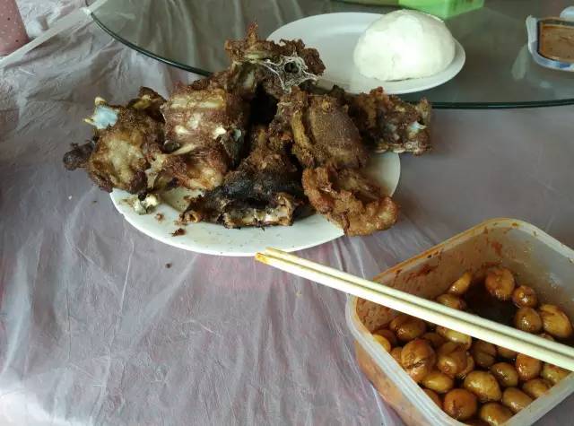 自驾川西带金毛,长途自驾带金毛