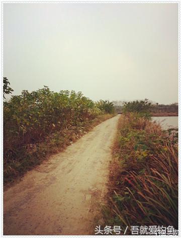 大将师来干家塘有鲤有鲫好鱼情