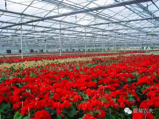 生态餐厅大棚用地,生态餐厅温室大棚配套设施