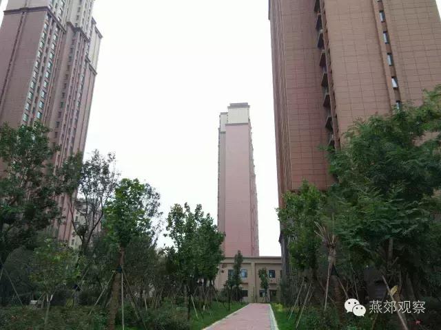 木子跑盘第三期:首尔甜城(上)