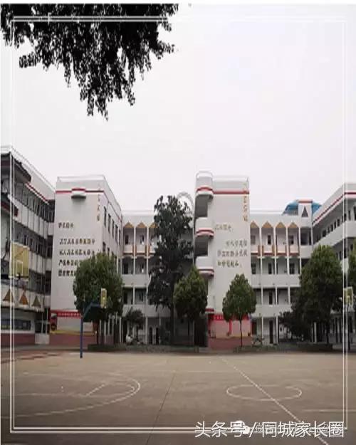 扬州育才小学和扬州梅岭小学,汶河小学和梅岭哪个好