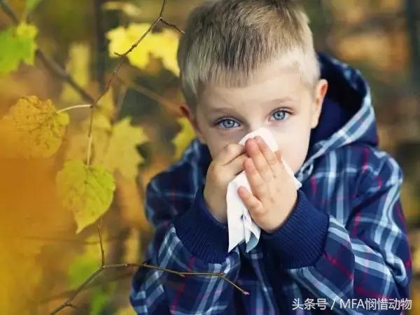 支气管哮喘秋天怎么调理 (季节性哮喘怎么治到秋天就犯病)