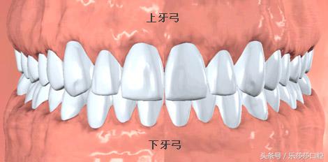 为什么吃饭会咬到舌头和腮帮,吃饭经常咬到腮或者舌头
