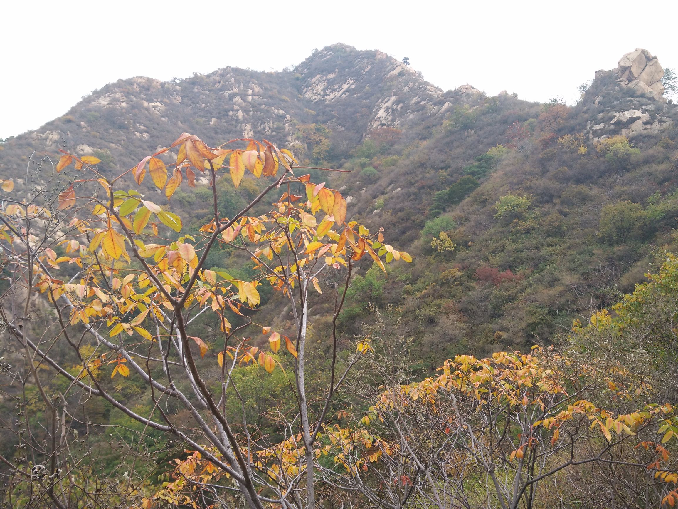 望峪山庄一日游攻略,望峪山