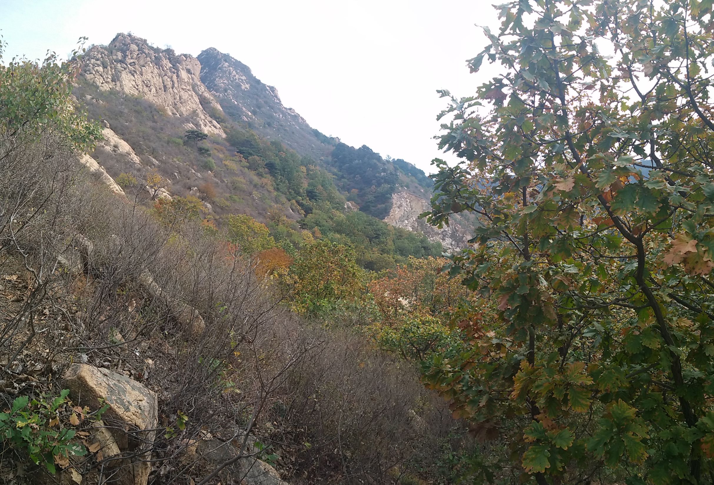 望峪山庄一日游攻略,望峪山