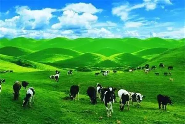 中国十大洗肺圣地,洗肺的地区有哪些