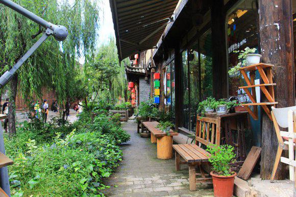 昆明石林大理丽江旅游攻略,万众瞩目的云南玩转昆明大理丽江