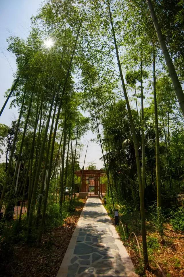 在干将莫邪的神话里，有一个地方，颜值逆天奢华而低调