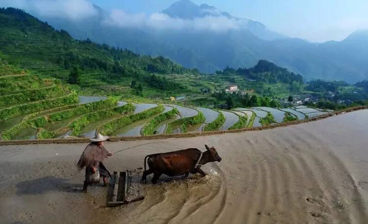 比起诗和远方我更喜欢有你的地方,这辈子总要去一趟丽水