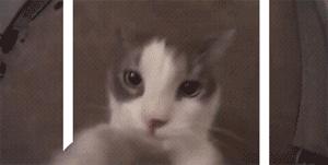 粤语歌情人未满,粤语歌曲情人未满